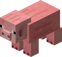 Pig
