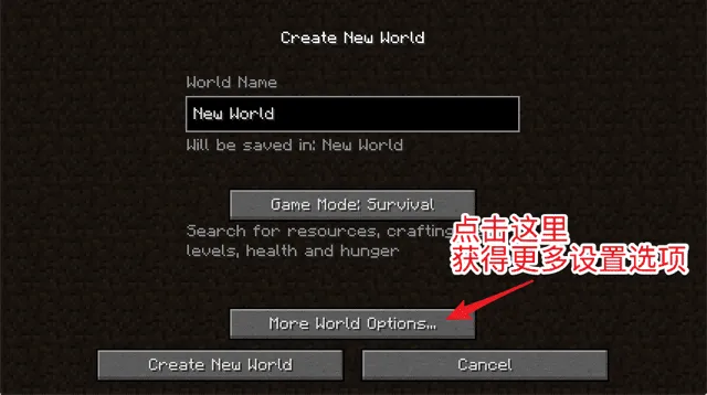 更多设置选项