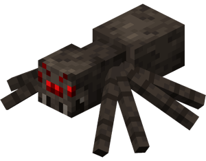 Spider蜘蛛